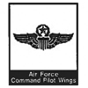 US Air Force Command Pilot Wings