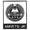 Junior AMVETS