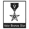Valor Bronze Star